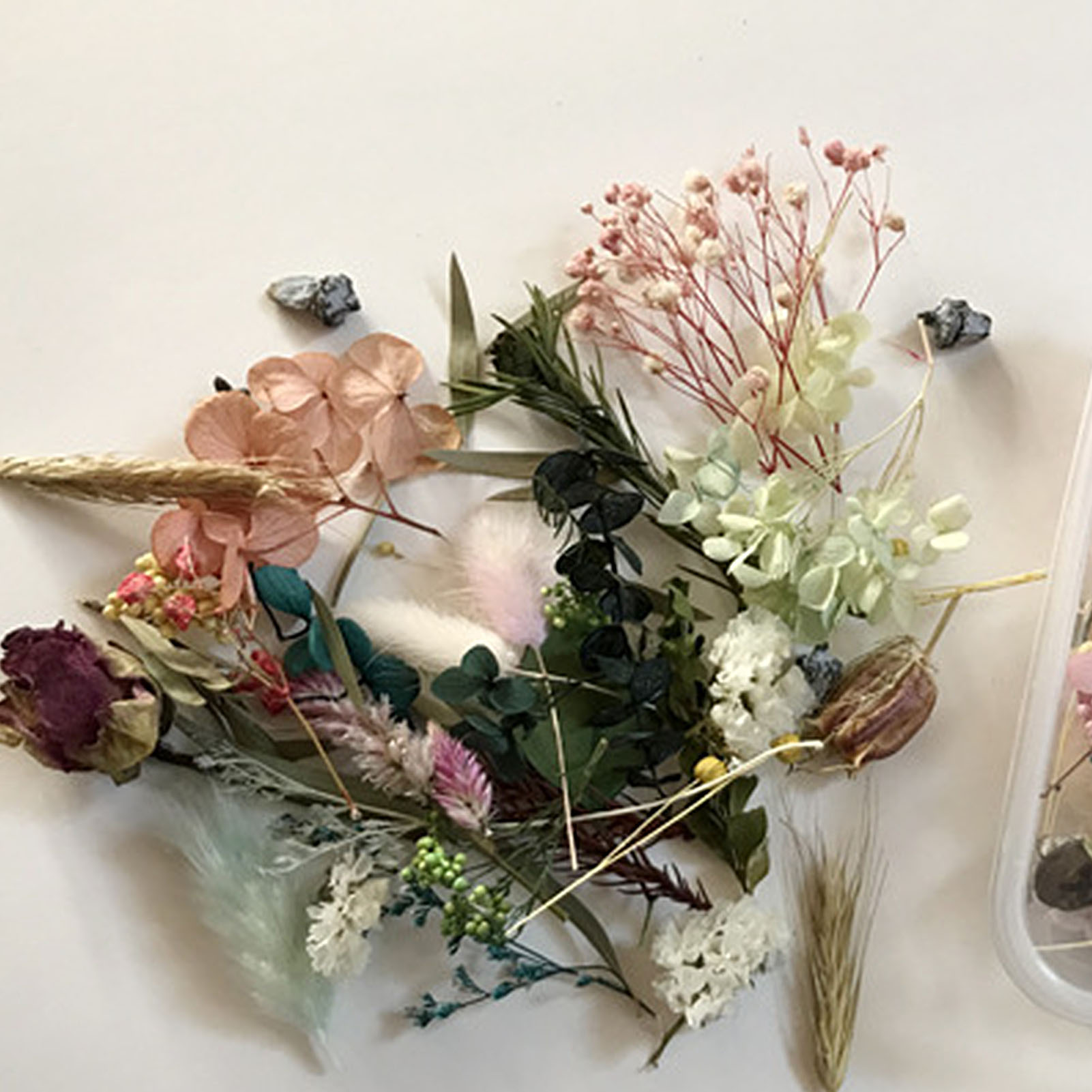 Kit de flores secas naturais,  - Candle Making Kit avaliação e preço